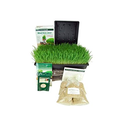 Organic Barley Grass Growing Kit w/ Hurricane Barleygrass Juicer- Grow & Juice Barleygrass in Your Own Kitchen for Pennies a Day