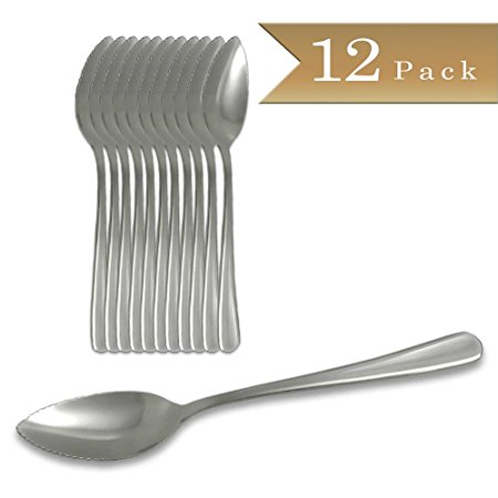 (Set of 12) Stainless Steel Grapefruit Dessert Spoons